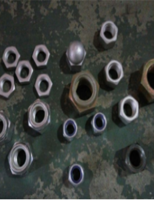 xcmg الجبان الجوز رقم الجزء 805201502