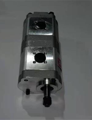 ABG مزدوج مضخة والعتاد الجزء رقم 0510665330