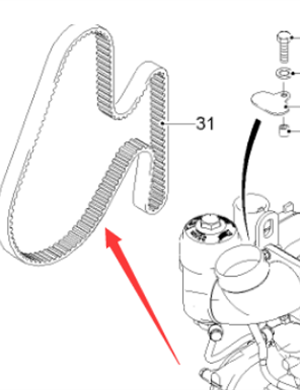  Pavement  Engine Belt Part Number 2168804