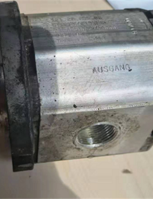  Road Milling Machine Water Pump Drive Motor Part Number 2226667