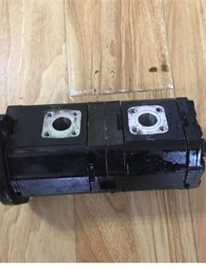  road milling machine dual gear pump part number C1647915900