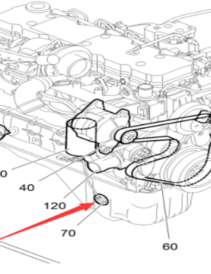 Vö pavers     Engine sensor part number 207548