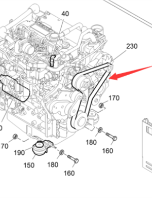 Vö pavers   Engine belt part number 2624131