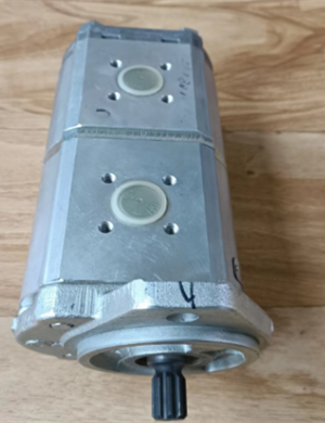 Vö pavers  Vibration dual gear pump part number 9628011000