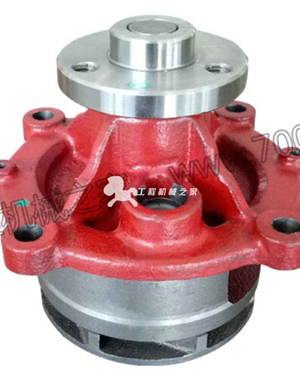 Volvo 20726092 water pump