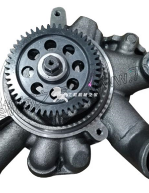 60 series 23531258 water pump