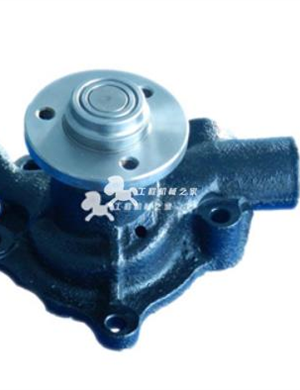 Yangma engine 119356 water pump