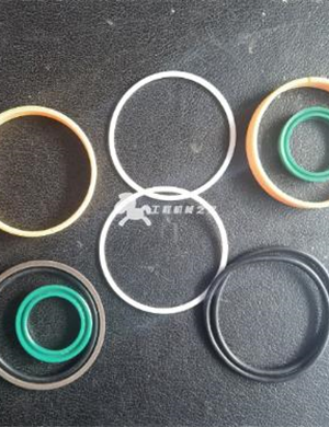 Sealing kit part number 4700679533