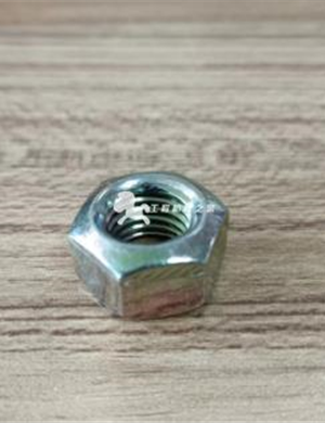 Blade nut part number 4700928847 