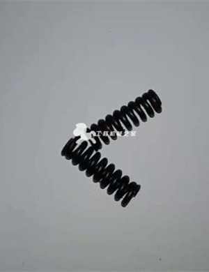  Gear spring part number 05902302 