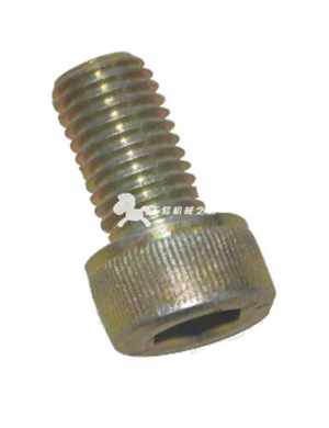  Tightening bolt part number 07231007 