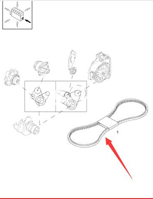  BOMAG water pump belt part number 08821318