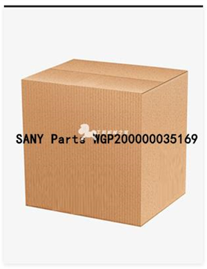 SANY Parts WGP200000035169 