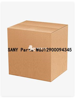 SANY Parts WGJ12900094345