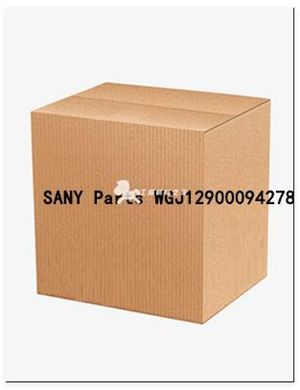 SANY Parts WGJ12900094278