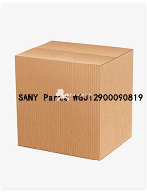 SANY Parts WGJ12900090819