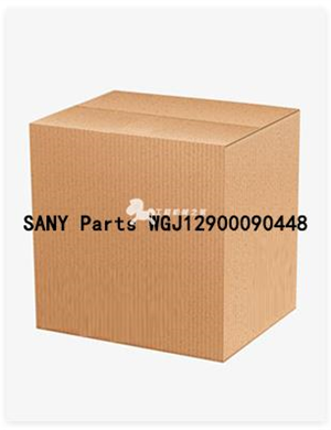 SANY Parts WGJ12900090448 