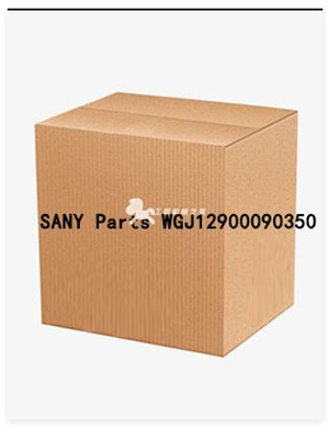 SANY Parts WGJ12900090350 