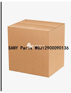 SANY Parts WGJ12900090136