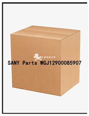SANY Parts WGJ12900085907
