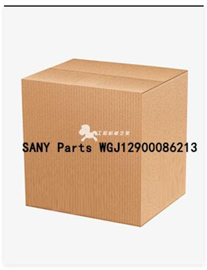 SANY Parts WGJ12900086213