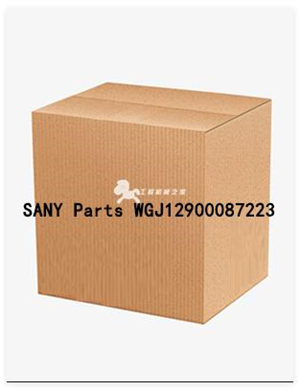 SANY Parts WGJ12900087223