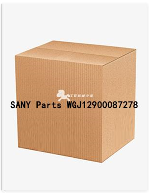 SANY Parts WGJ12900087278