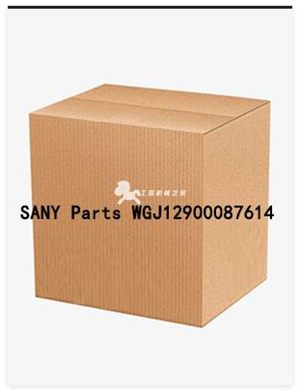 SANY Parts WGJ12900087614