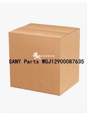 SANY Parts WGJ12900087635