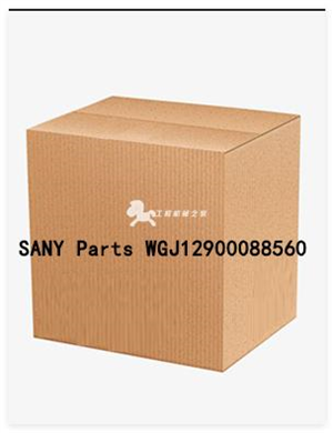 SANY Parts WGJ12900088560