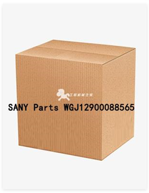 SANY Parts WGJ12900088565
