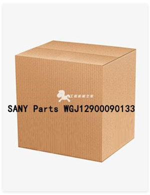 SANY Parts WGJ12900090133