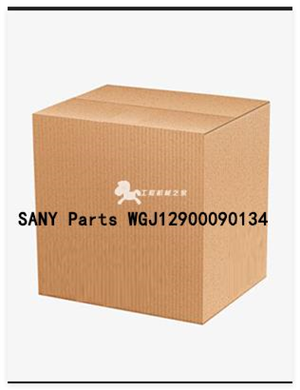 SANY Parts WGJ12900090134 