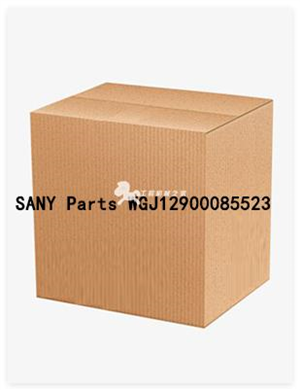 SANY Parts WGJ12900085523
