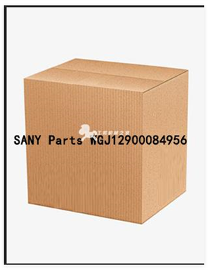 SANY Parts WGJ12900084956