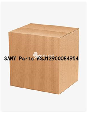 SANY Parts WGJ12900084954
