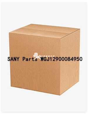 SANY Parts WGJ12900084950