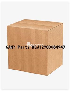 SANY Parts WGJ12900084949 
