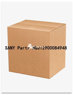 SANY Parts WGJ12900084948