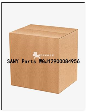  SANY Parts WGJ12900085523