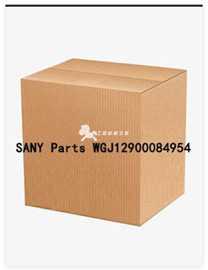 SANY Parts WGJ12900084954