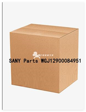 SANY Parts WGJ12900084951