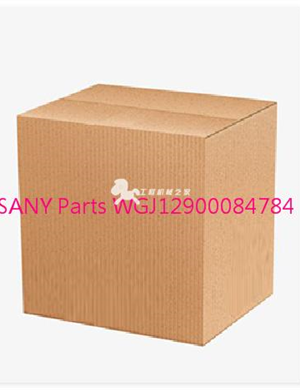 SANY Parts WGJ12900084784