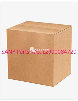 SANY Parts WGJ12900084720  