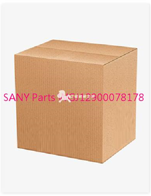 SANY Parts WGJ12900078178 