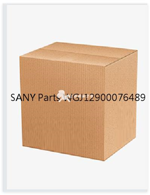 SANY Parts WGJ12900076489
