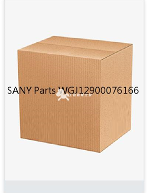 SANY Parts WGJ12900076166 