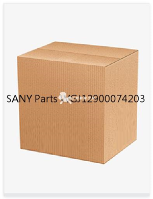 SANY Parts WGJ12900074203 