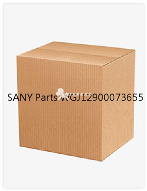SANY Parts WGJ12900073655