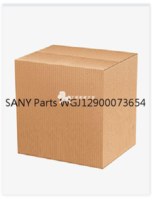 SANY Parts WGJ12900073654